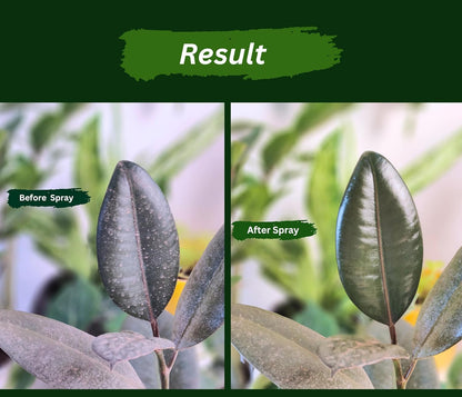 Pure Neem Plant Protection Spray (Pack of 2)